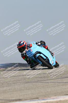 media/Mar-24-2025-2WTD (Mon) [[55b4b08488]]/A Group/11am (Outside Grapevine)/